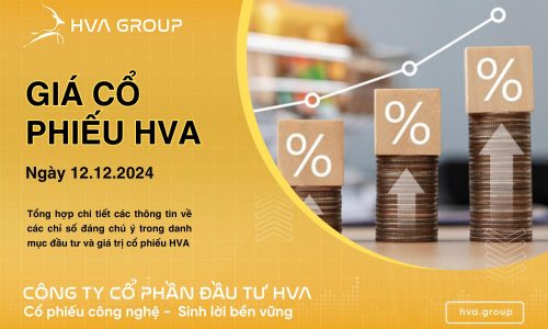 GIÁ CỔ PHIẾU HVA NGÀY 12/12/2024