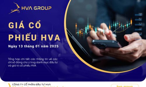 GIÁ CỔ PHIẾU HVA NGÀY 13/01/2025