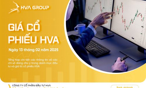 GIÁ CỔ PHIẾU HVA NGÀY 13/02/2025