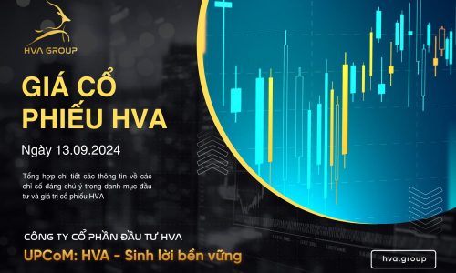 GIÁ CỔ PHIẾU HVA NGÀY 13/09/2024