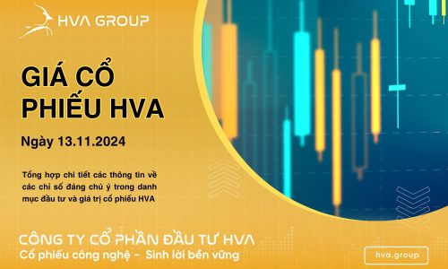 GIÁ CỔ PHIẾU HVA NGÀY 13/11/2024