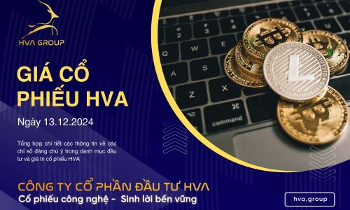 GIÁ CỔ PHIẾU HVA NGÀY 13/12/2024