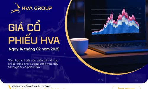 GIÁ CỔ PHIẾU HVA NGÀY 14/02/2025