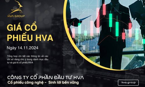 GIÁ CỔ PHIẾU HVA NGÀY 14/11/2024