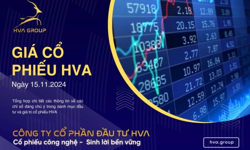 GIÁ CỔ PHIẾU HVA NGÀY 15/11/2024