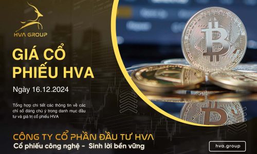 GIÁ CỔ PHIẾU HVA NGÀY 16/12/2024