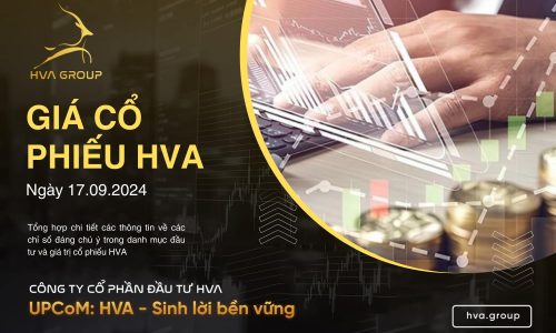 GIÁ CỔ PHIẾU HVA NGÀY 17/09/2024