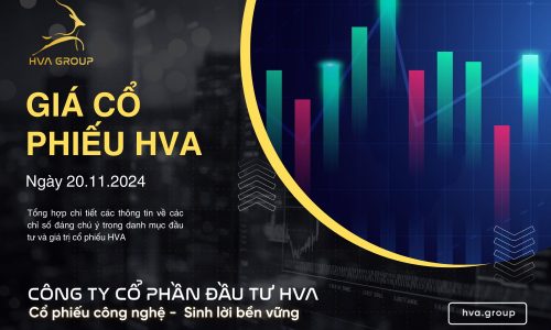 GIÁ CỔ PHIẾU HVA NGÀY 20/11/2024