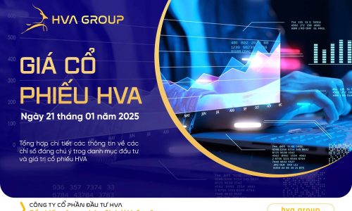 GIÁ CỔ PHIẾU HVA NGÀY 21/01/2025