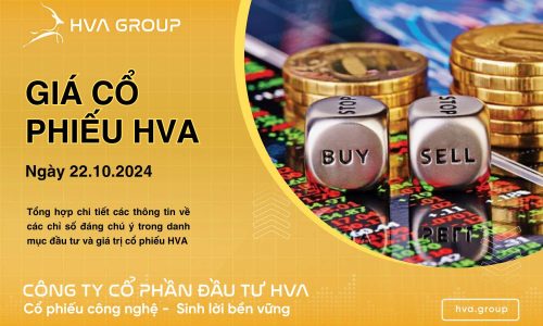 GIÁ CỔ PHIẾU HVA NGÀY 22/10/2024