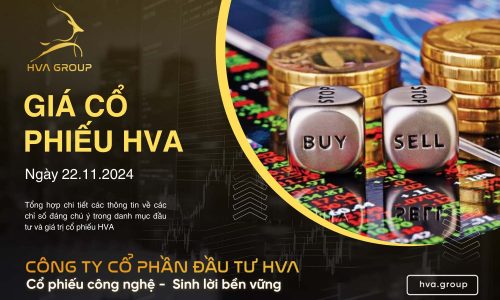 GIÁ CỔ PHIẾU HVA NGÀY 22/11/2024