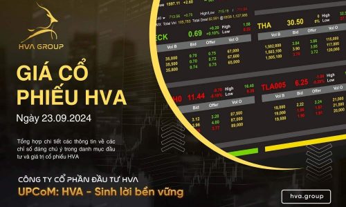 GIÁ CỔ PHIẾU HVA NGÀY 23/09/2024