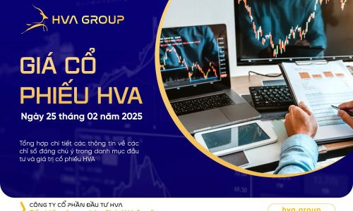 GIÁ CỔ PHIẾU HVA NGÀY 25/02/2025