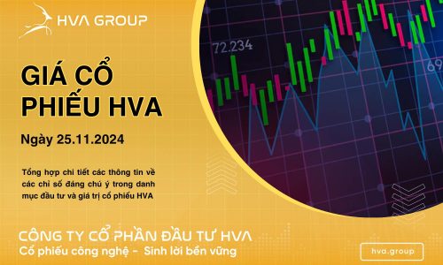 GIÁ CỔ PHIẾU HVA NGÀY 25/11/2024