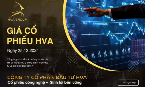 GIÁ CỔ PHIẾU HVA NGÀY 25/12/2024