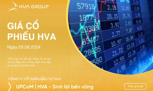 GIÁ CỔ PHIẾU HVA NGÀY 29/08/2024