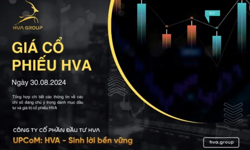 GIÁ CỔ PHIẾU HVA NGÀY 30/08/2024