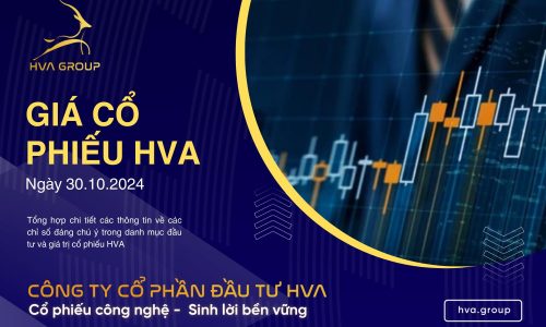 GIÁ CỔ PHIẾU HVA NGÀY 30/10/2024