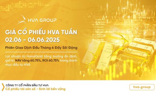 Giá cổ phiếu HVA tuần 02/06-06/06: Phiên Giao Dịch Đầu Tháng 6 Đầy Sôi Động