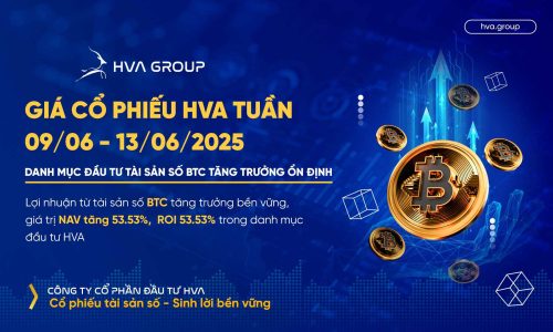 gia-co-phieu-hva-tuan-09-06-13-06-danh-muc-dau-tu-tai-san-so-btc-tang-truong-on-dinh