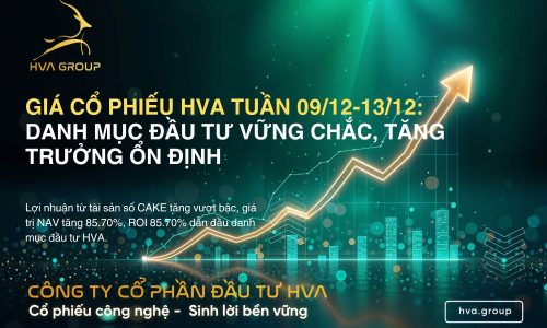 Giá cổ phiếu HVA tuần 09/12-13/12: Danh Mục Đầu Tư Vững Chắc, Tăng Trưởng Ổn Định