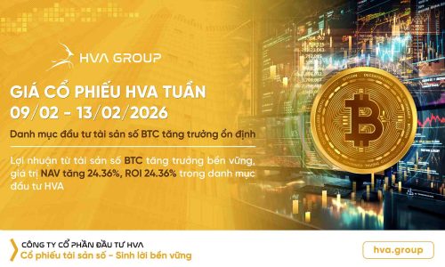 gia-co-phieu-hva-tuan-09-13-02-2026.jpg.jpg
