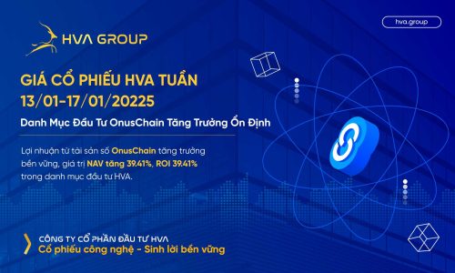 Giá cổ phiếu HVA tuần 13/01-17/01: Danh Mục Đầu Tư OnusChain Tăng Trưởng Ổn Định