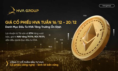 Giá cổ phiếu HVA tuần 16/12-20/12: Danh Mục Đầu Tư HVA Tăng Trưởng Ổn Định