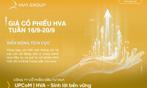 GIÁ CỔ PHIẾU HVA TUẦN 16/9-20/9: BIẾN ĐỘNG TÍCH CỰC