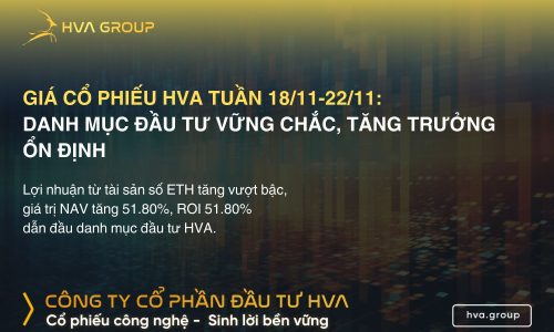 Giá cổ phiếu HVA tuần 18/11-22/11: Danh Mục Đầu Tư Vững Chắc, Tăng Trưởng Ổn Định