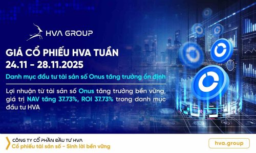 gia-co-phieu-hva-tuan-24-11-28-11