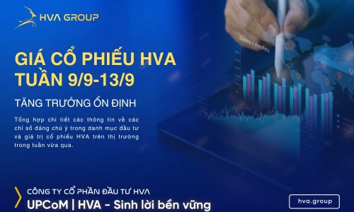 GIÁ CỔ PHIẾU HVA TUẦN 9/9-13/9: TĂNG TRƯỞNG ỔN ĐỊNH