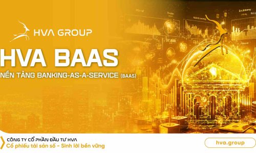 HVA BAAS – Nền tảng Banking-as-a-Service (BaaS)