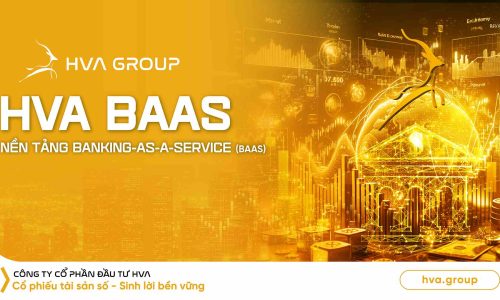 HVA BAAS – Nền tảng Banking-as-a-Service (BaaS)