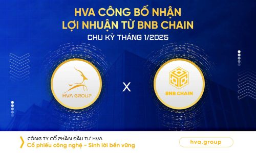 HVA CÔNG BỐ NHẬN LỢI NHUẬN TỪ BNB CHAIN CHU KỲ THÁNG 01/2025