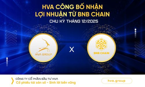 HVA announces receiving profits from BNB Chain for the December 2025 cycle.