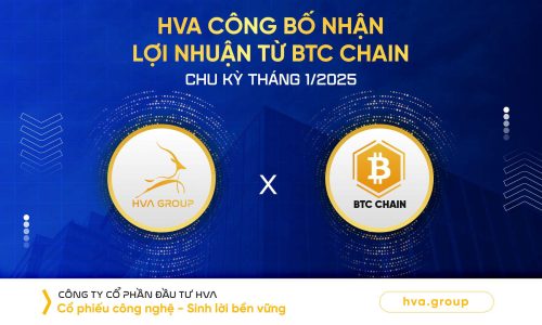 HVA CÔNG BỐ NHẬN LỢI NHUẬN TỪ BTC CHU KỲ THÁNG 01/2025