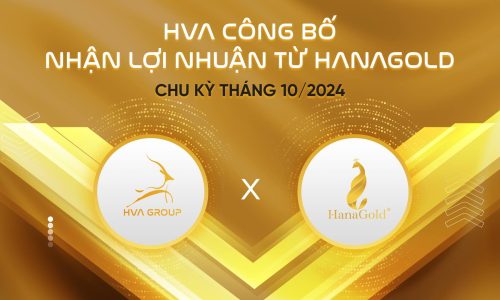 HVA CÔNG BỐ NHẬN LỢI NHUẬN TỪ HANAGOLD CHU KỲ THÁNG 10/2024