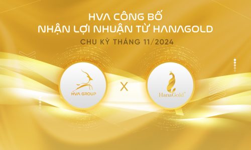 HVA CÔNG BỐ NHẬN LỢI NHUẬN TỪ HANAGOLD CHU KỲ THÁNG 11/2024