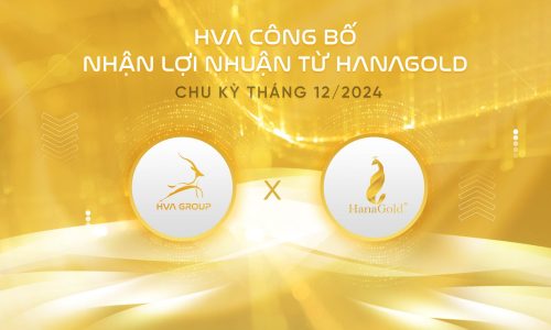 HVA CÔNG BỐ NHẬN LỢI NHUẬN TỪ HANAGOLD CHU KỲ THÁNG 12/2024 