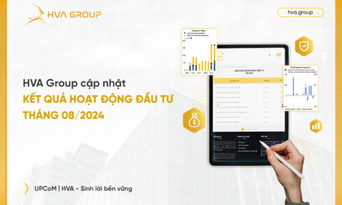 HVA Group Cập Nhật Kết Quả Hoạt Động Đầu Tư Tháng 08/2024