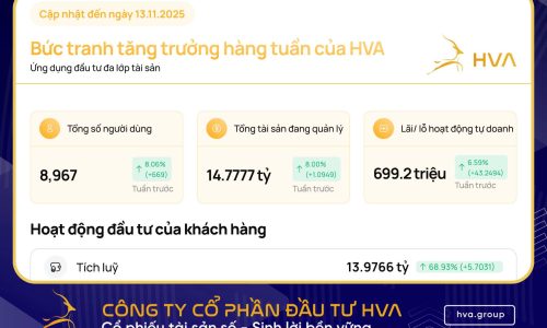 HVA Group announces results for week 13.11.2025 – HVA Application