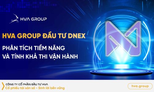HVA Group đầu tư DNEX: Phân tích tiềm năng và tính khả thi vận hành