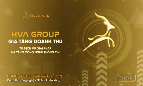 HVA Group Gia Tăng Doanh Thu Từ Dịch Vụ Giải Pháp Hạ Tầng Công Nghệ Thông Tin