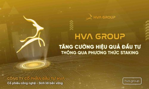 HVA Group Tăng Cường Hiệu Quả Đầu Tư Thông Qua Phương Thức Staking