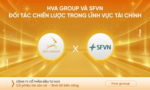 HVA Group Và SFVN: Đối Tác Chiến Lược Trong Lĩnh Vực Tài Chính