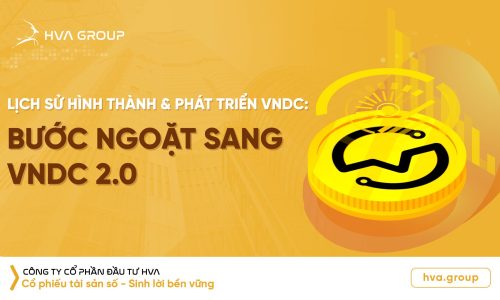 Lịch sử hình thành và phát triển VNDC: Bước ngoặt sang VNDC 2.0