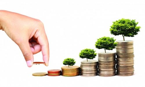 Buying fund certificates: Detailed instructions from AZ for beginners