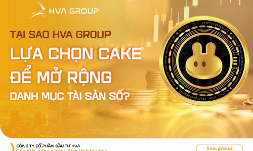 TẠI SAO HVA GROUP LỰA CHỌN CAKE ĐỂ MỞ RỘNG DANH MỤC TÀI SẢN SỐ?