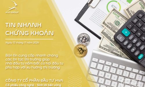 TIN NHANH CHỨNG KHOÁN NGÀY 13/11/2024